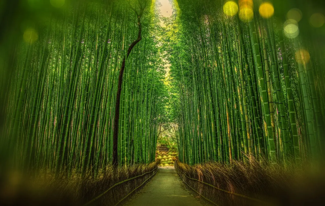 JAPAN BLOG