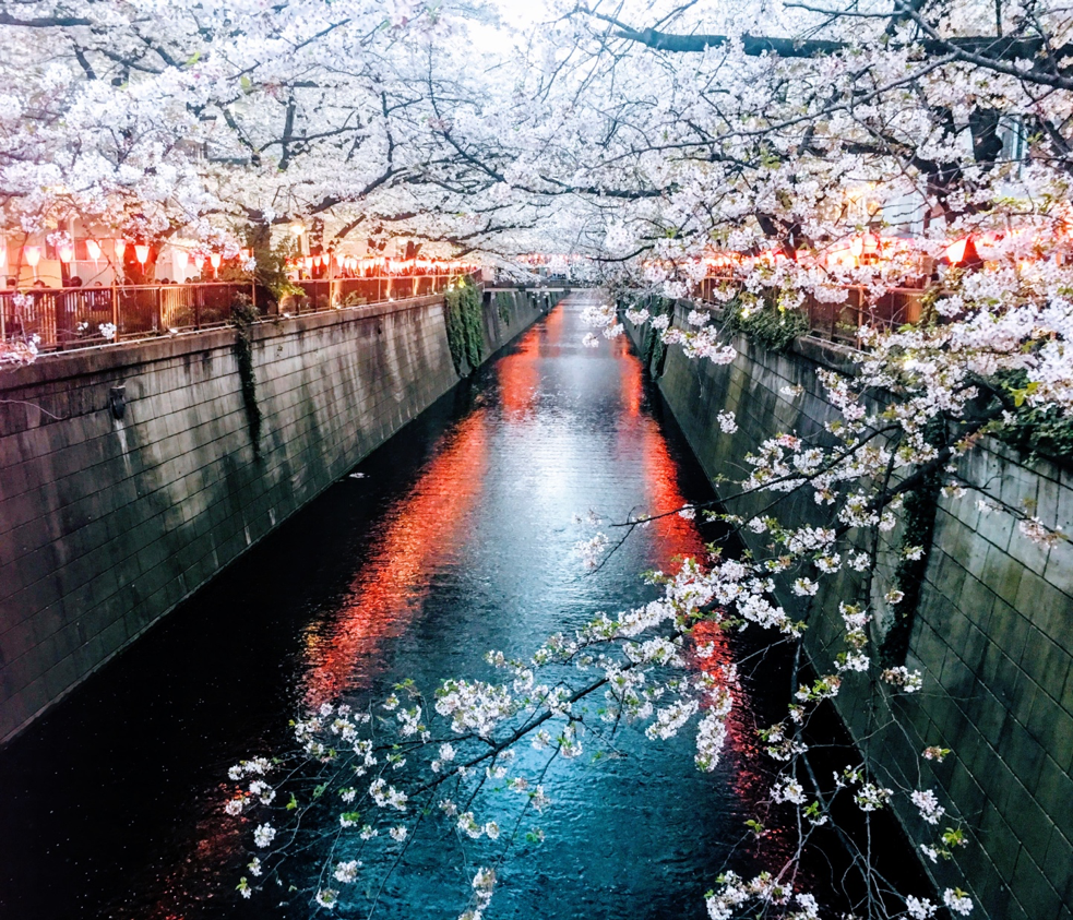 Things to Love About Spring in Japan