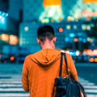 Individual program Internship in Japan