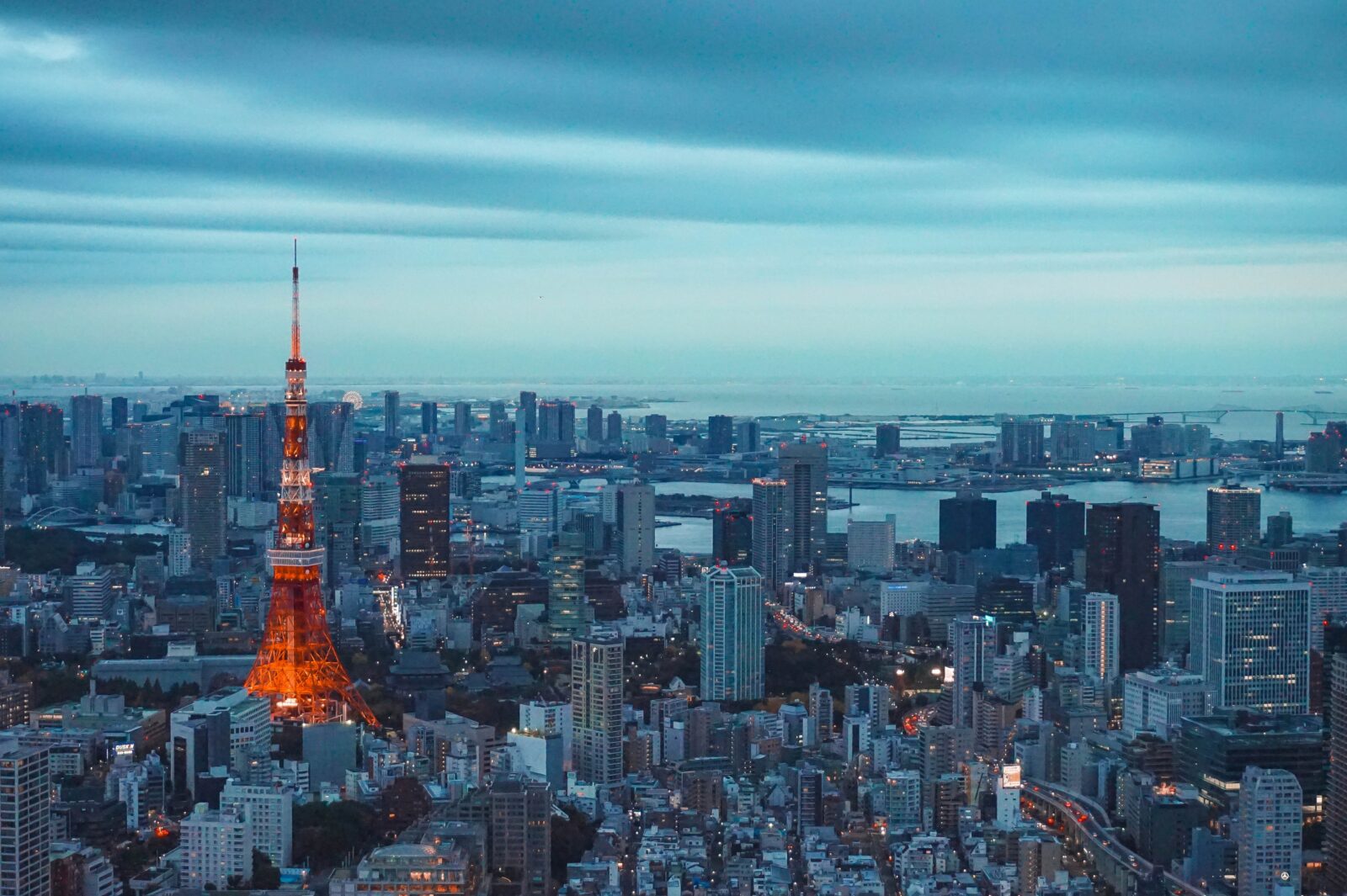 Discover <i>your</i> future with an Internship in Japan