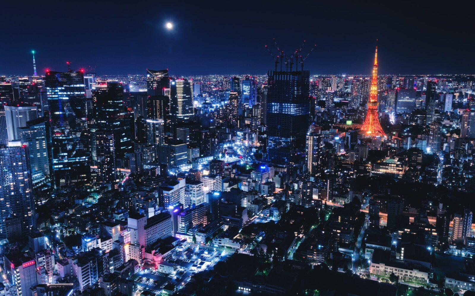 Discover your global future with an Internship in Japan