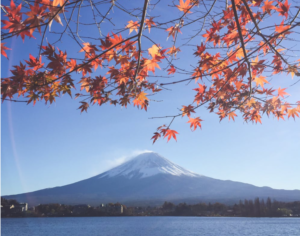 Things to Enjoy During the Fall in Japan