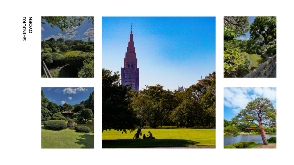 Shinjuku Park