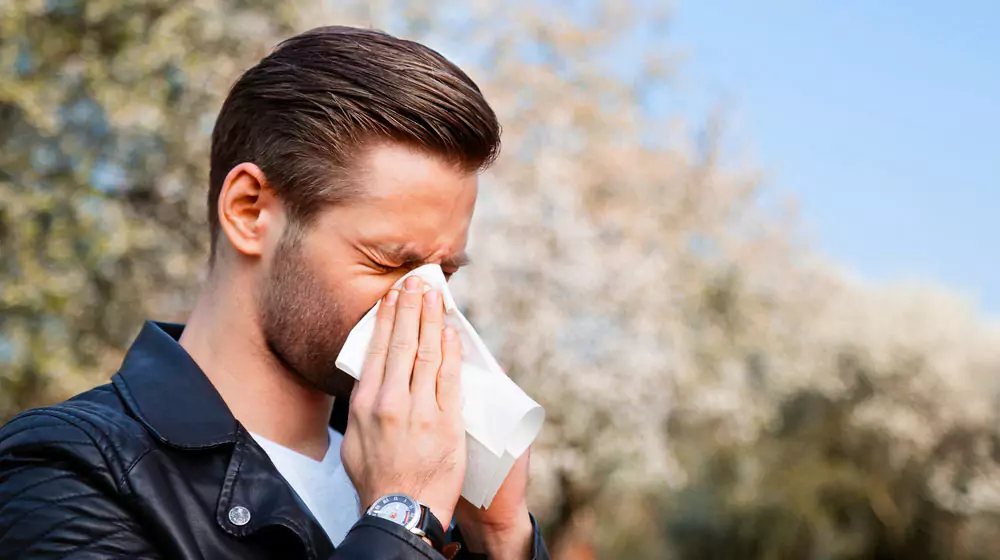 How to Survive Pollen Allergy (Kafunsho) in Japan: Tips for Spring