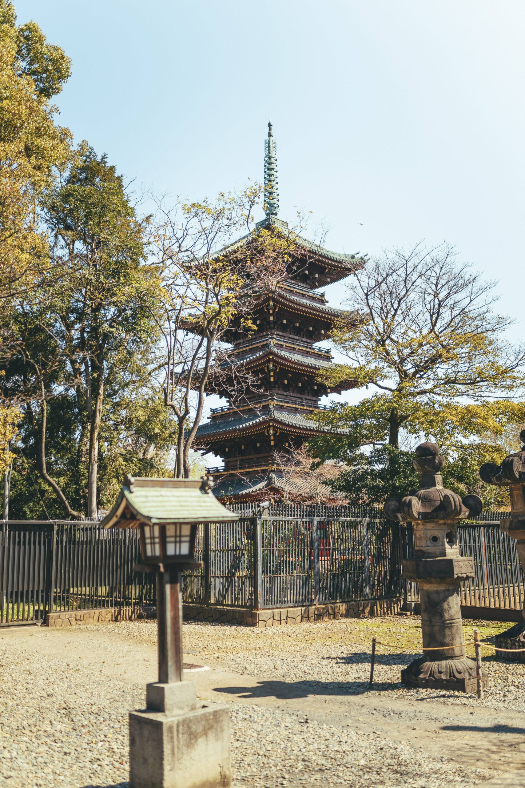 What to Do in Tokyo During the Day (When You’re Living There as an Intern)🌞🇯🇵